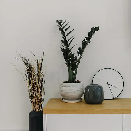 Apartment On Mikhalcuk