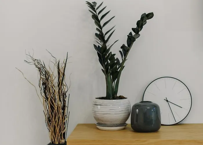 Apartament On Mikhalcuk